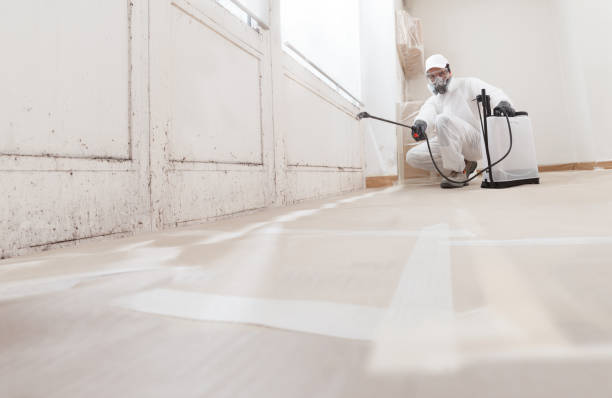 24/7 Emergency Bathroom Mold Removal experts in Wingate, NC